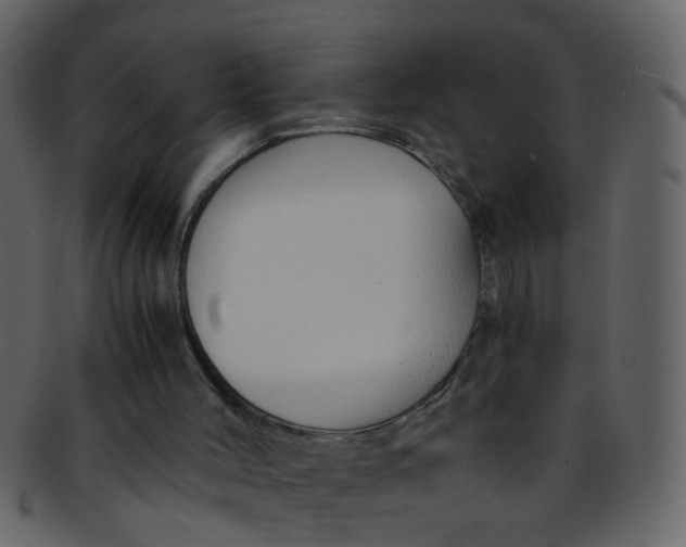 X0000093150004200710171400