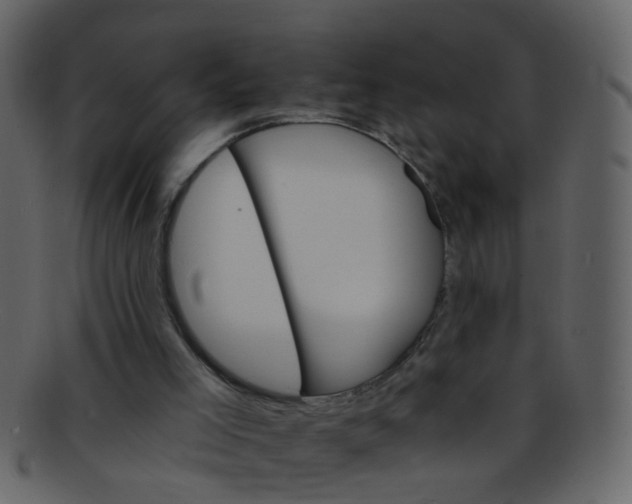 X0000093150005200710171400