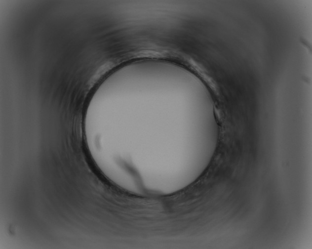 X0000093150011200710171400