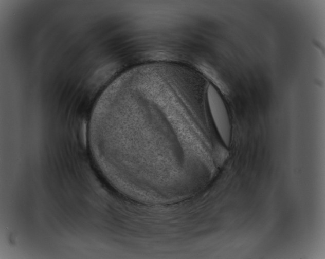 X0000093150014200710171400