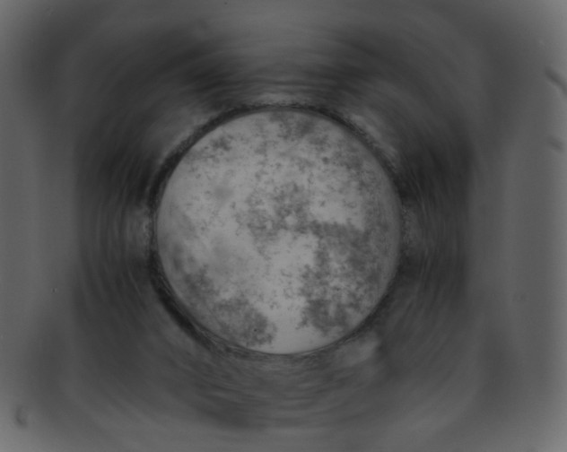 X0000093150016200710171400