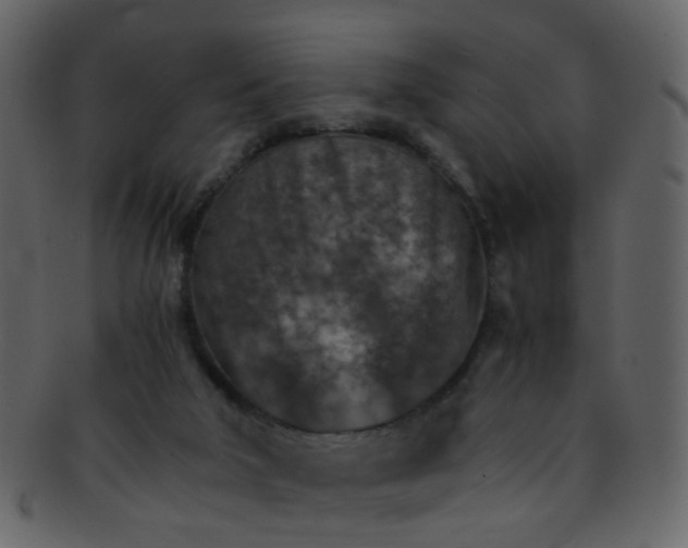 X0000093150018200710171400