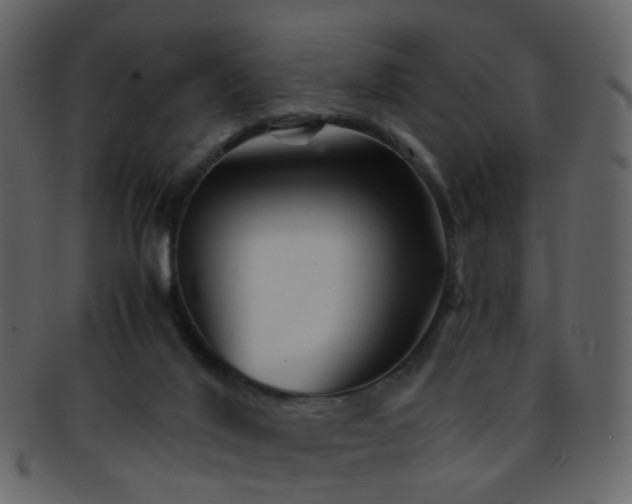 X0000093150020200710171400