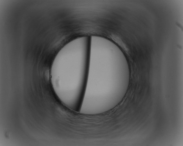 X0000093150021200710171400