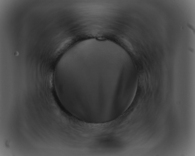 X0000093150023200710171400