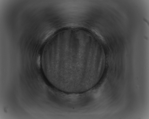 X0000093150024200710171400