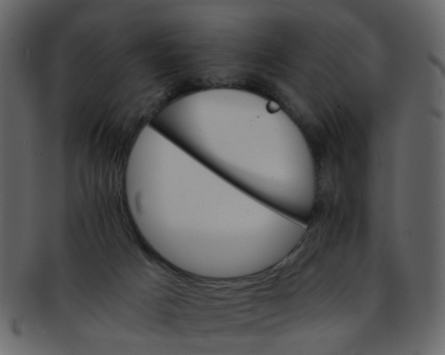 X0000093150025200710171400