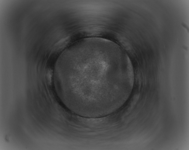 X0000093150026200710171400