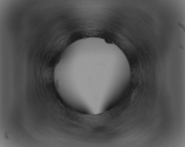 X0000093150034200710171400