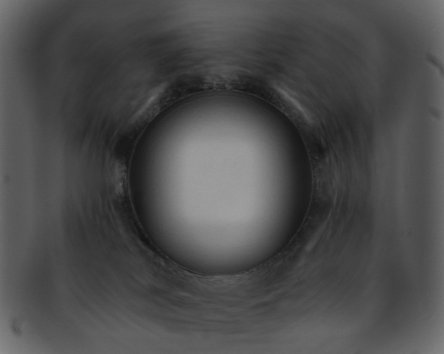 X0000093150038200710171400