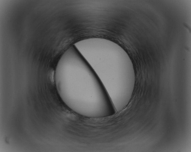 X0000093150041200710171400