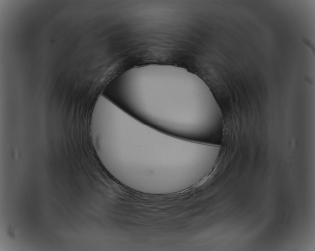 X0000093150045200710171400