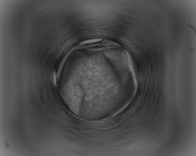 X0000093150046200710171400