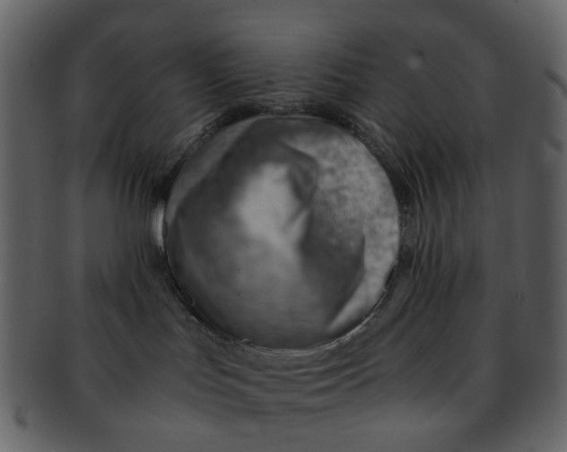 X0000093150047200710171400