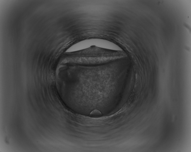 X0000093150048200710171400