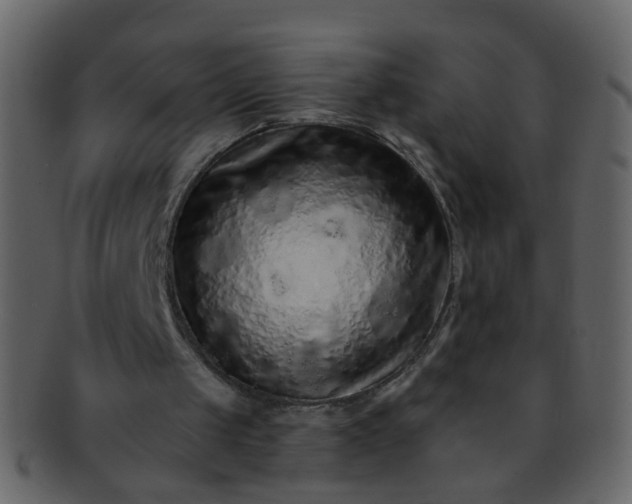 X0000093150049200710171359