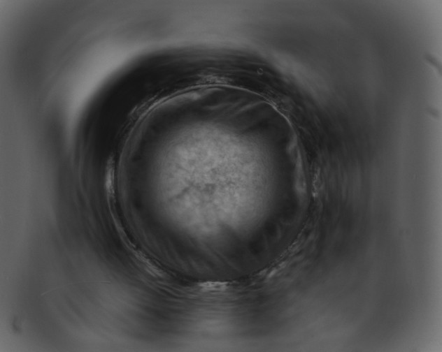 X0000093150052200710171359