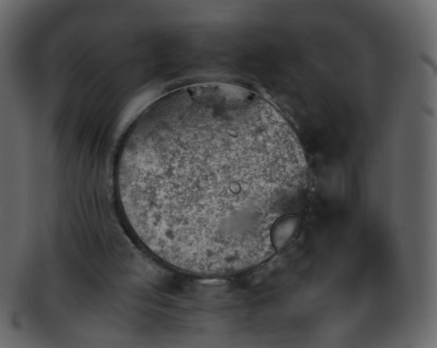 X0000093150053200710171359