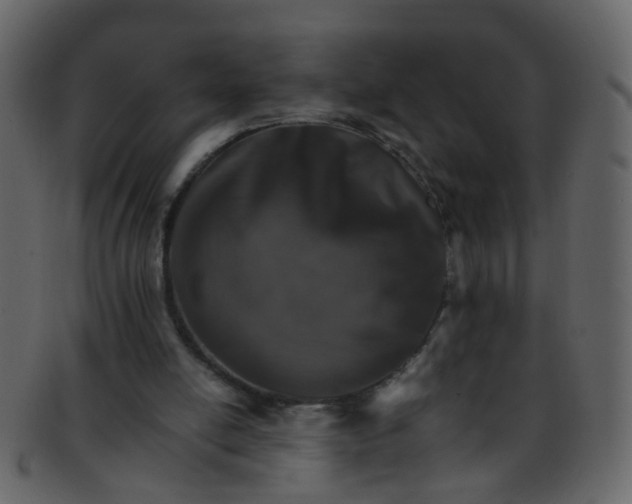 X0000093150054200710171359