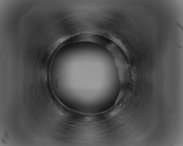 X0000093150060200710171359