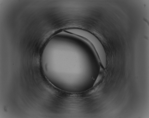 X0000093150064200710171359