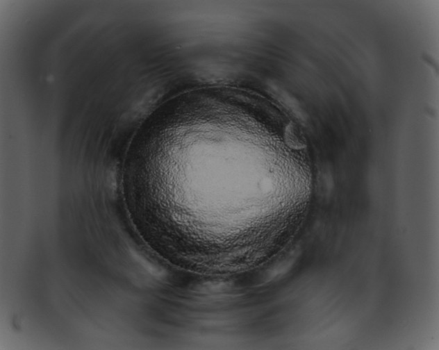 X0000093150065200710171359