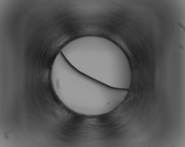 X0000093150066200710171359