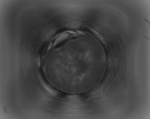 X0000093150069200710171359