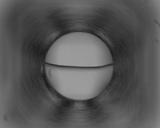 X0000093150070200710171359