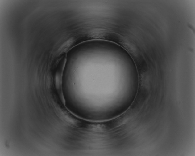 X0000093150073200710171359