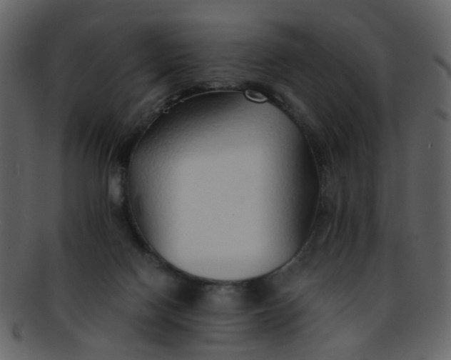 X0000093150074200710171359