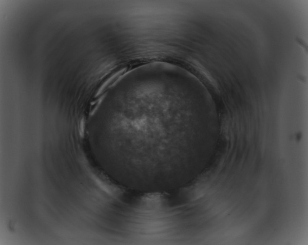 X0000093150076200710171359