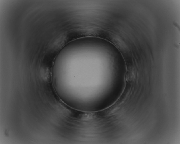 X0000093150077200710171359