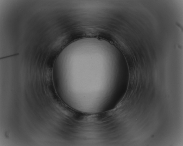 X0000093150078200710171359