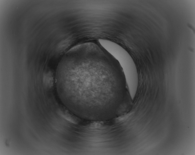 X0000093150080200710171359