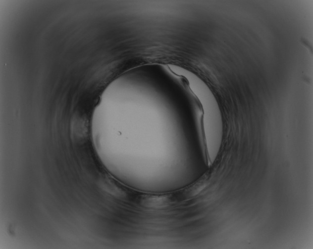 X0000093150081200710171359