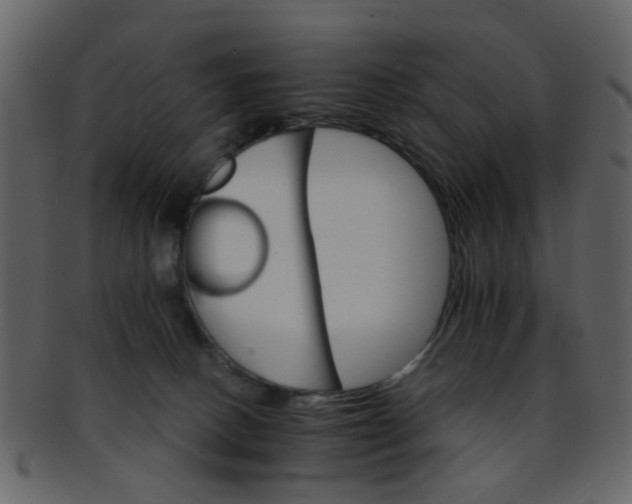 X0000093150082200710171359