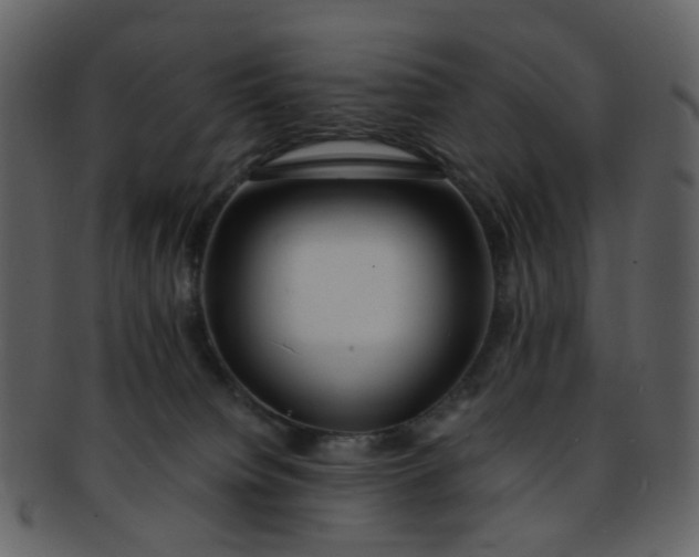 X0000093150084200710171359