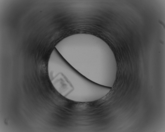 X0000093150086200710171359