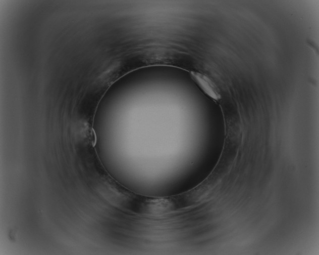 X0000093150087200710171359