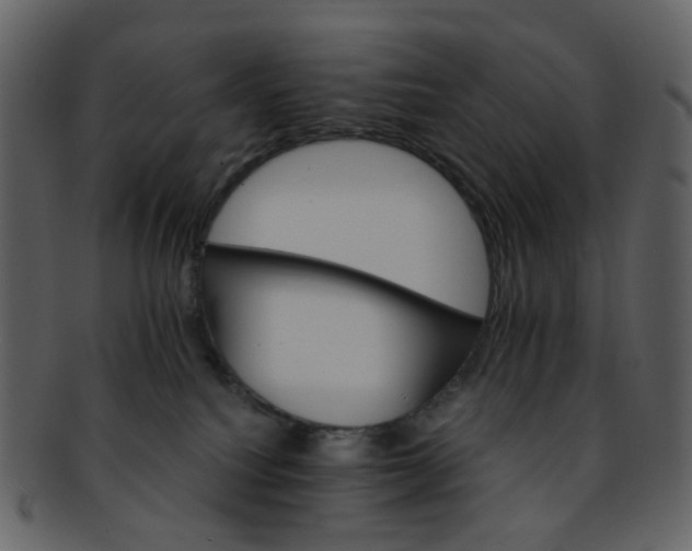 X0000093150088200710171400