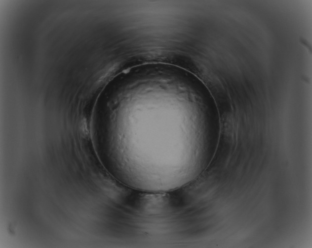 X0000093150089200710171400