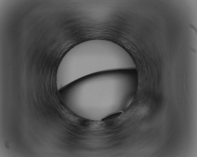 X0000093150096200710171400