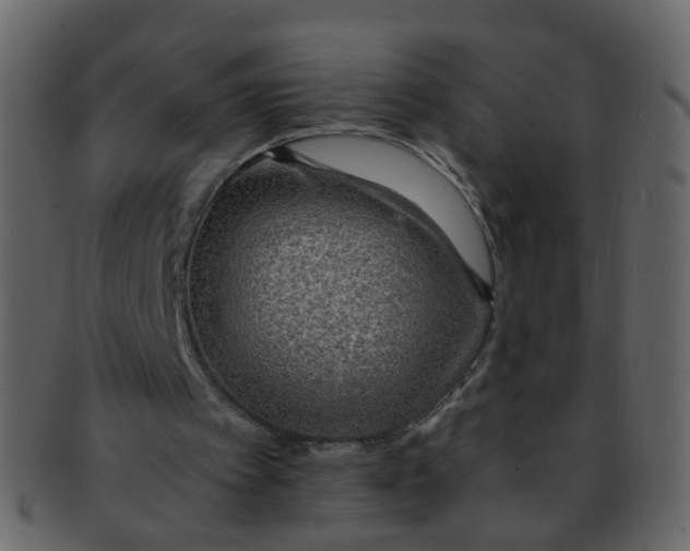 X0000093150097200710171359