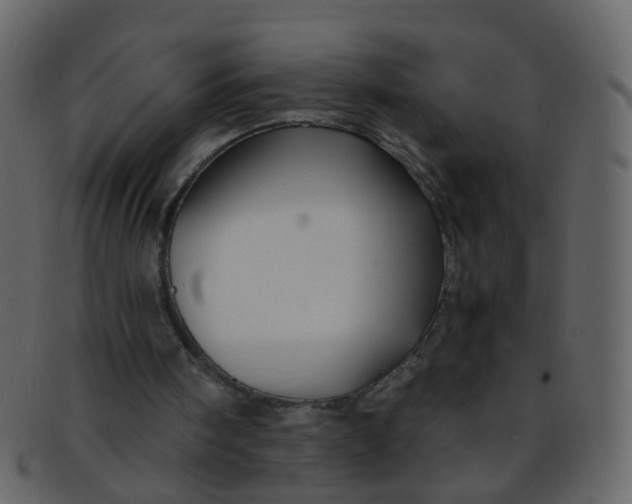 X0000093150098200710171359