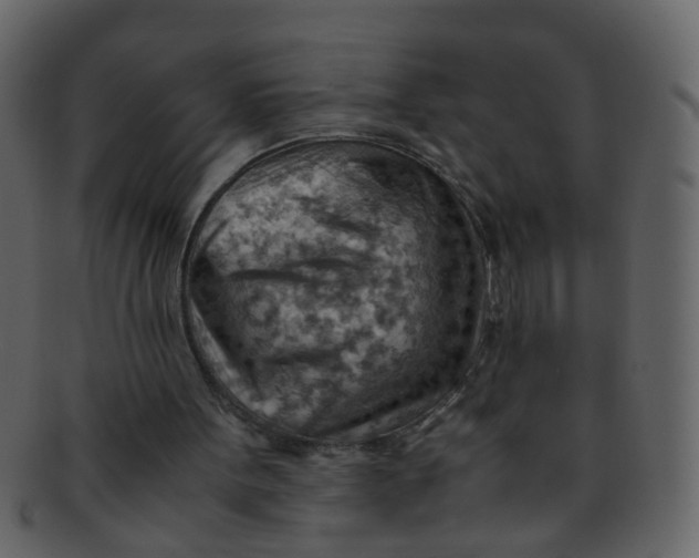 X0000093150099200710171359