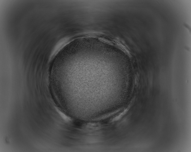 X0000093150101200710171359