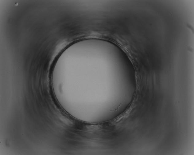 X0000093150102200710171359