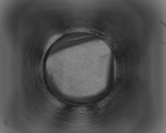 X0000093150104200710171359