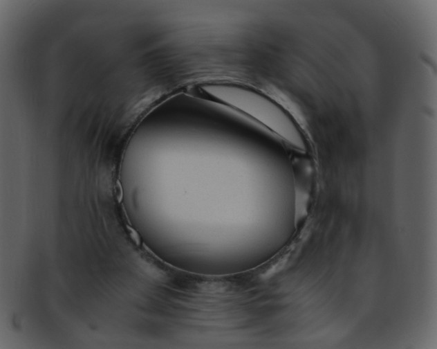 X0000093150105200710171359